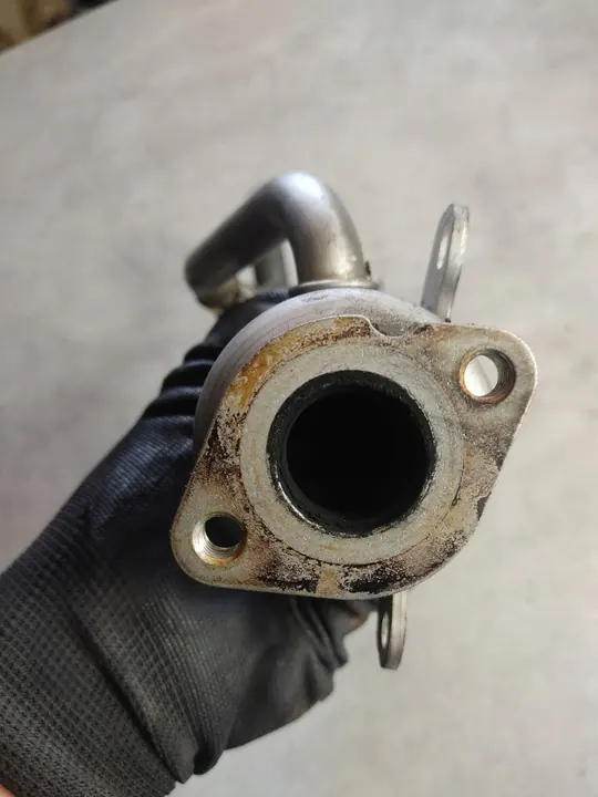 EGR-jäähdytin Seat Alhambra (Mk1) 03G131513L image 5