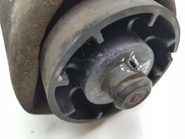 Borsa di sospensione pneumatica posteriore destra BMW X5 E53 2004 OEM 1095580 image 2