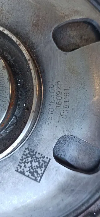 Renault Nissan vaihteiston värinävaimennin OEM 2510164001 image 6