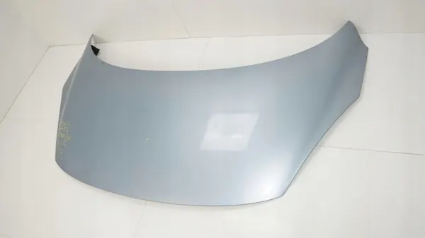 OEM 360205493 Motorafdekking Renault Scenic III 09-13 image 3