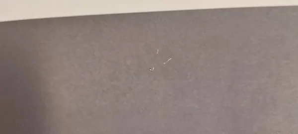 VW GOLF VII Takaluukku HB H5X 5G6827025AA image 7