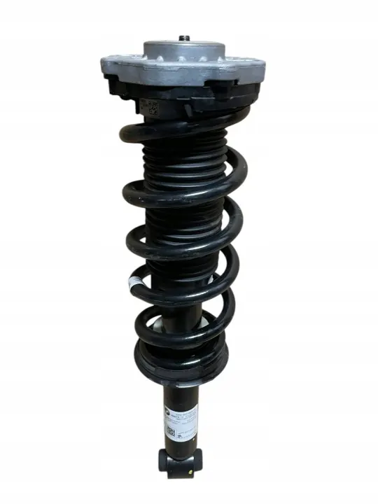 Amortecedor Traseiro OEM 6871805 para BMW X3 G01 image 2
