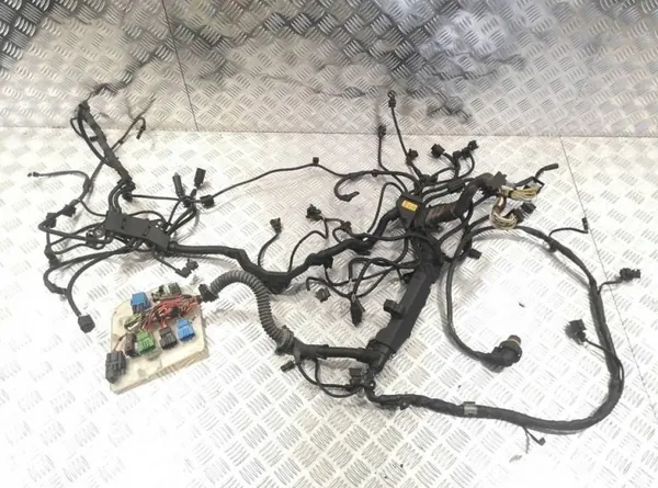 Harness Motor OEM 7601382 para BMW F04 Híbrido image 2