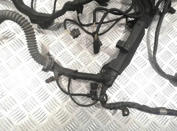 Harness Motor OEM 7601382 para BMW F04 Híbrido image 4
