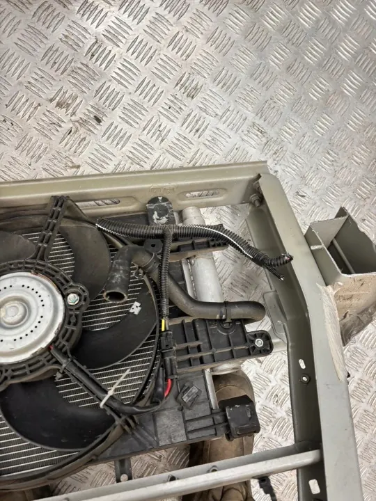 OEM 625181629R Ventilatorriem Set Dacia Spring image 8