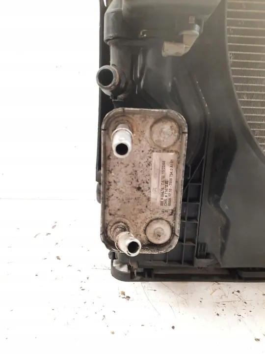 Radiador completo BMW X5 E53 2004 64546921381 image 9