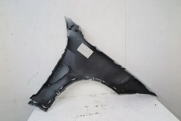 Parafango anteriore sinistro BMW X5 F15 X6 F16 2013- image 6