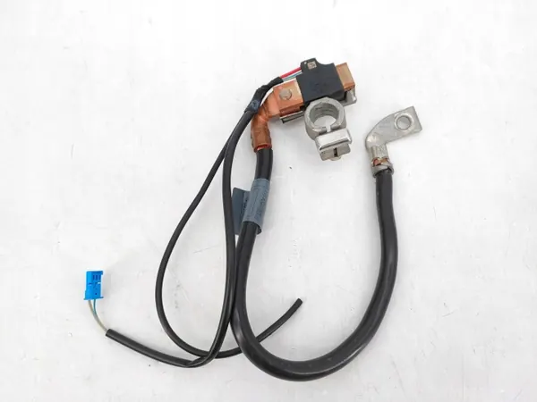 Sensor gestión batería Hella 6PK 010 562-901 image 3