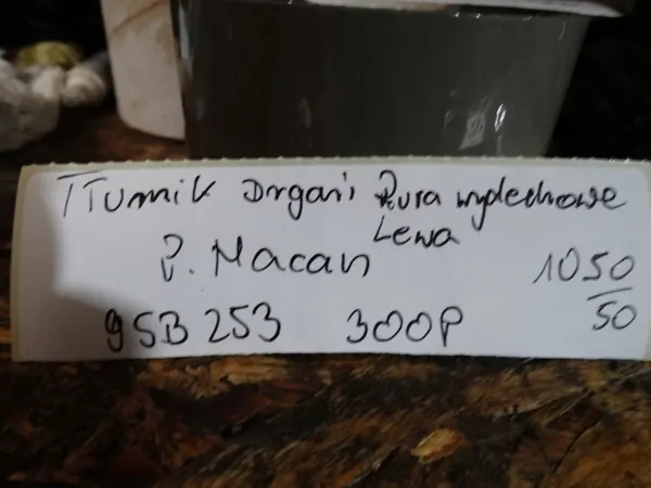 OEM 95B253300P Vasen pakoputki Porsche Macan image 3