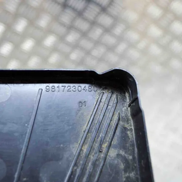 Peugeot 3008 II 2018 Bandeja de bateria image 6