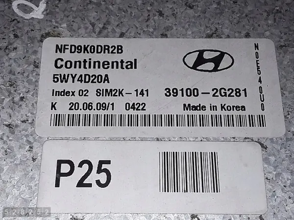 2010 Hyundai Sonata ECU 2.0 Essence 391002G281 image 4