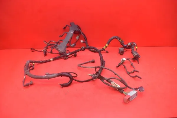 OEM mamAUTO-966409 Cableado para Iveco Daily image 2