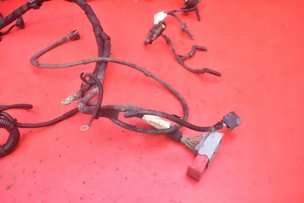 OEM mamAUTO-966409 Cableado para Iveco Daily image 4