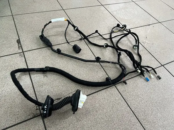 TESLA MODEL Y 20- FIOS PORTA TRASEIRA ESQUERDA 1489053-00-E image 1