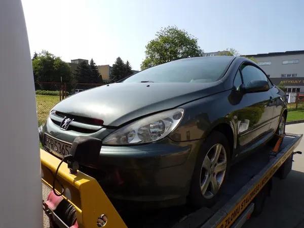 Silenciador central Peugeot 307 CC Cabriolet 2.0B OEM image 2