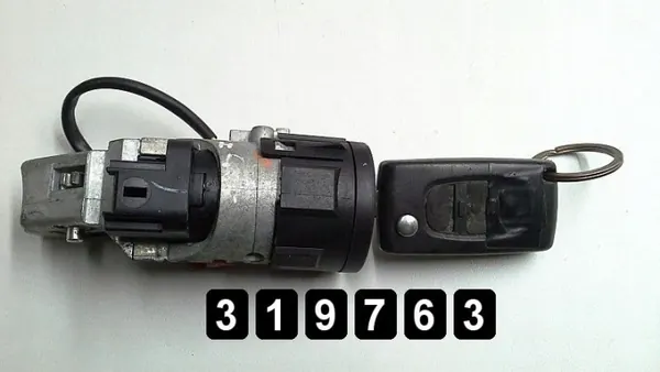 Calculateur OEM AM-319763 pour Citroen C6 2.7 HDI 2007 image 6