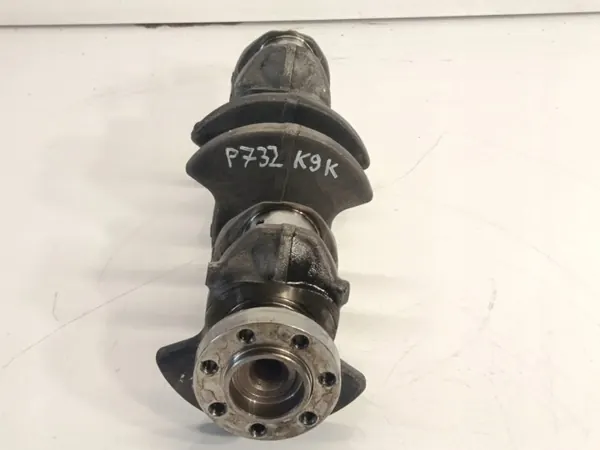 Renault OEM orion 000404 Krukas voor Megane II/Scenic II image 4