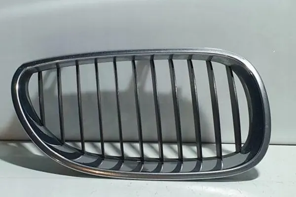 Griglia BMW 5 (E60) 2006 image 4