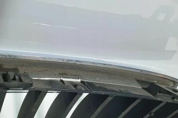 Griglia BMW 5 (E60) 2006 image 5