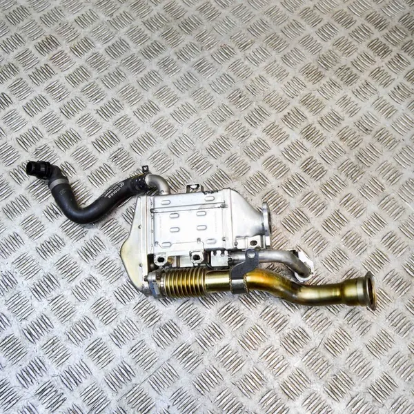 Enfriador EGR Mercedes-Benz CLS C257 2018 A6541400200 image 2