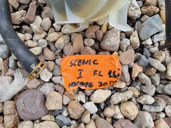 Tanque de expansão Renault Scenic I + Mangueiras 7700839184 image 9