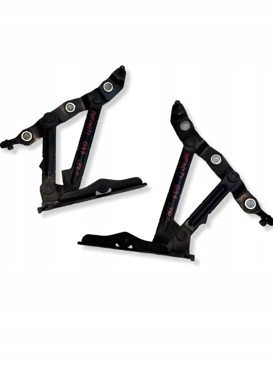 OEM 79889 Infiniti G37 Bisagras de maletero image 2