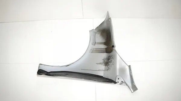 OEM 375484771 etu-oikea lokasuoja Renault Megane III image 8