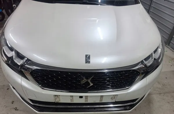 Citroen DS4 2016 Capô Dianteiro Para-choque Aleta Reforço KWE image 5