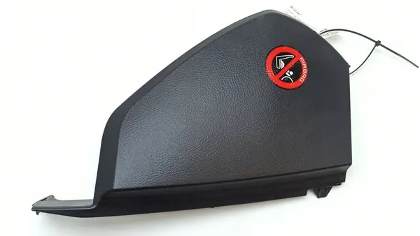 Cobertura de painel lateral direita Lexus LS 430 image 3