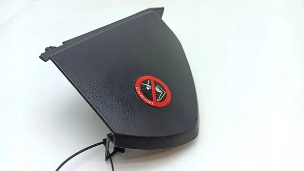 Cobertura de painel lateral direita Lexus LS 430 image 6