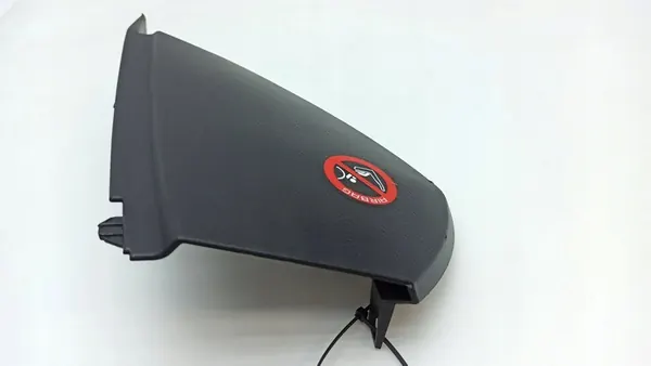 Cobertura de painel lateral direita Lexus LS 430 image 7