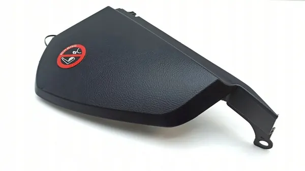 Cobertura de painel lateral direita Lexus LS 430 image 9