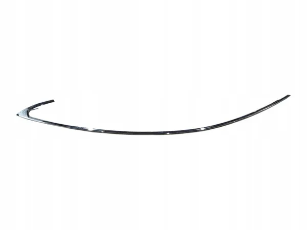 Friso de Teto Tesla Model S image 2