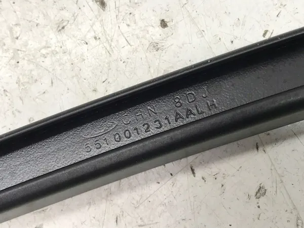 CHERY OMODA 5 C5 2025 Fensterführung Links Vorne OEM 551001231AA image 6