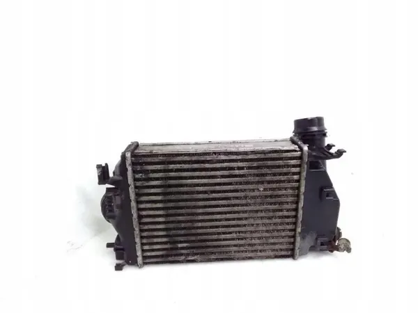 Intercooler OEM 14461 4EA1B Renault-malleille image 4