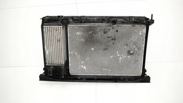 Correa Delantera OEM 360161858 para Citroen Berlingo III image 5