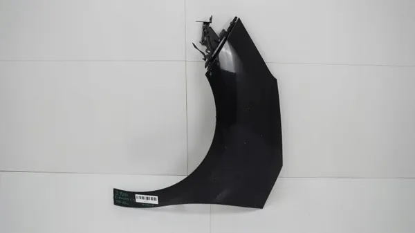 Para-lamas dianteiro esquerdo OEM 360184641 Citroen C3 II image 2
