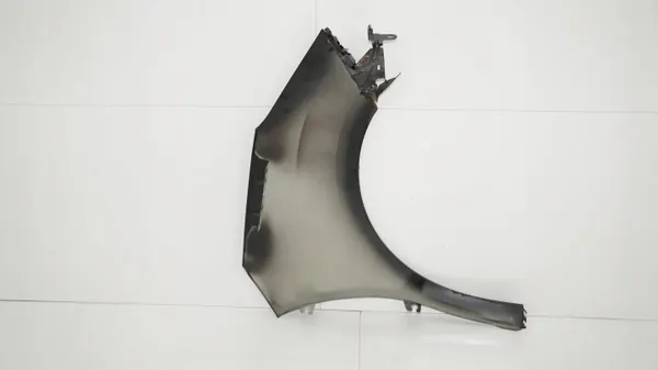 Para-lamas dianteiro esquerdo OEM 360184641 Citroen C3 II image 10