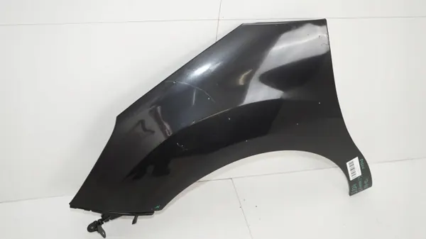 Para-lamas dianteiro esquerdo OEM 360184641 Citroen C3 II image 3