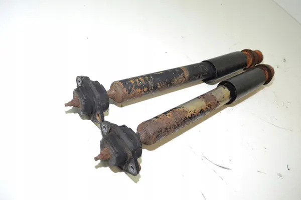 Ammortizzatore posteriore BMW 3 (E90) 2284100 image 3