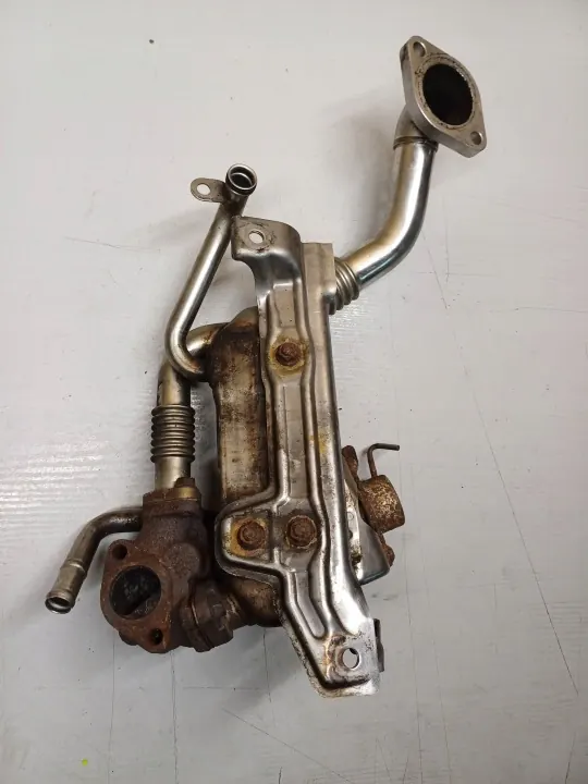Refroidisseur d'échappement OEM Y592310004 Opel Zafira B image 4