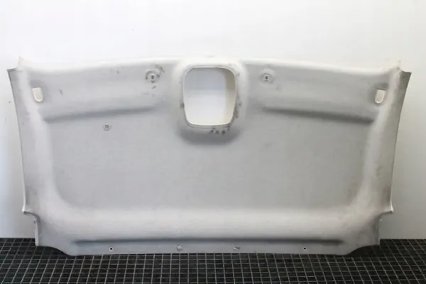 Panneau de Plafond Avant OEM 93868984 pour Opel Vivaro II B image 2