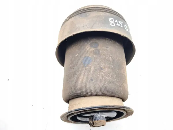 Muelle neumático trasero BMW X5 E70 OEM 295139 - Usado image 3