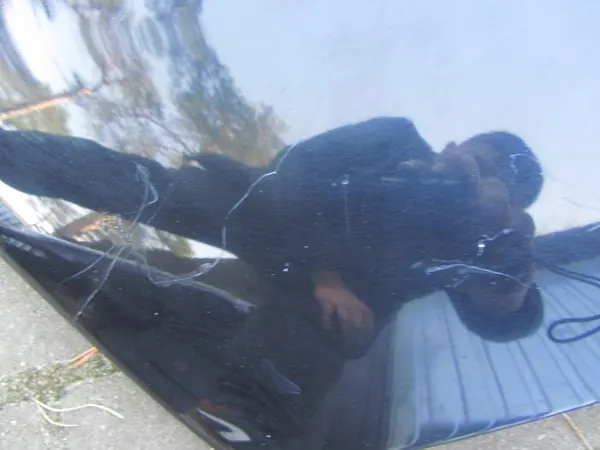 BMW E65 Motorhuv Black 2 - 668 image 4