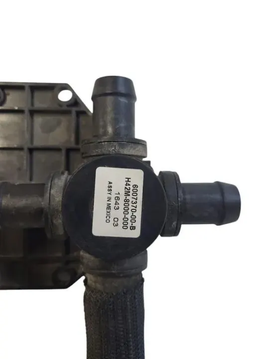Pompe à eau Tesla Model X OEM 6007370-00-B Occasion image 5