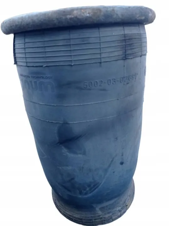 Iveco Massif 2008 Luftfeder OEM 5002030269P Hinterachse image 3