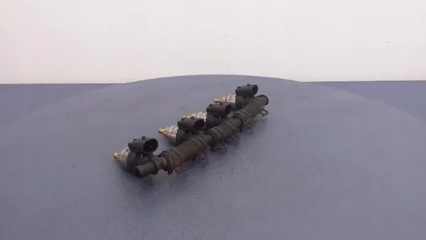 LPG-injectierail OEM Elk-103116-67R-016407 4 stuks image 2