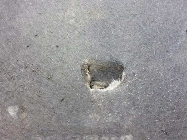 OEM 3G0825522B Aislamiento Suelo Passat B8 Lift image 4