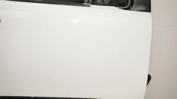 Puerta delantera derecha OEM 360202918 para Citroen Berlingo image 6
