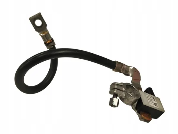 Klema minusowa Porsche Macan (95B) 7631109 image 4